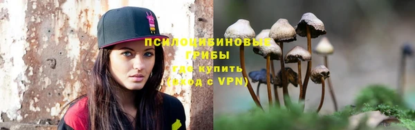 дмт Баксан