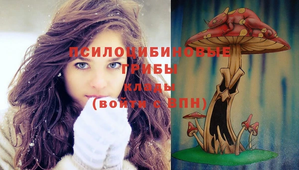 соль курить ск Балахна