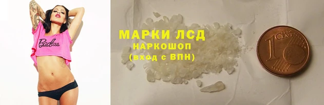 ГАЛЛЮЦИНОГЕННЫЕ ГРИБЫ Балабаново