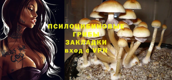 дмт Баксан